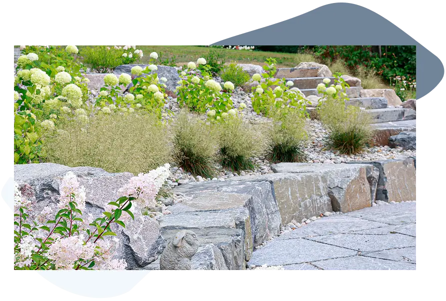NuScape landscaping project