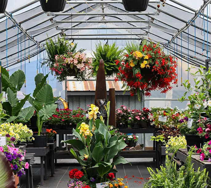 NuScape Garden Centre
