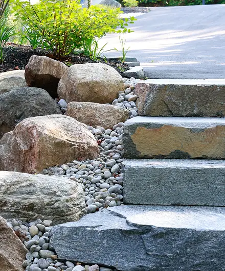 NuScape landscaping project